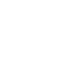 Optical Zoom