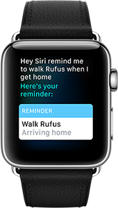 Apple Watch ask Siri