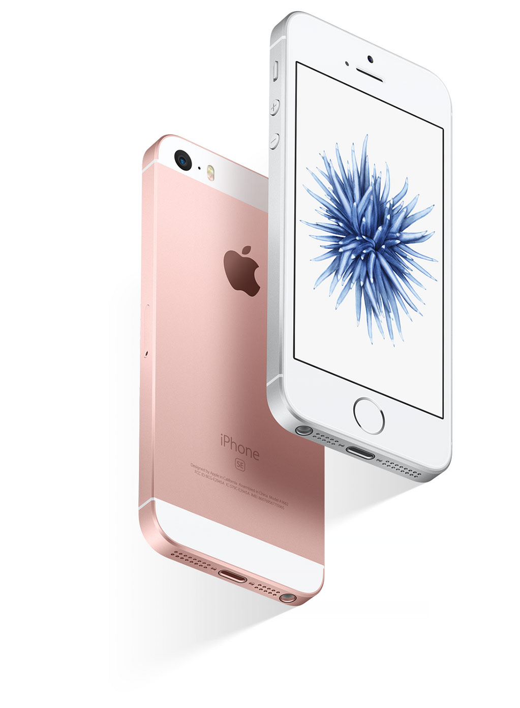 iPhone SE beloved design
