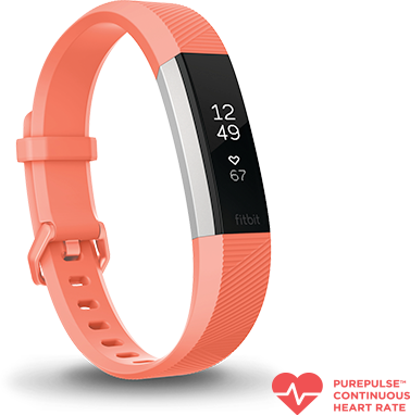 currys fitbits