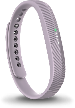 currys fitbits