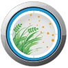 Anti Allergy