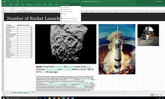 Microsoft Excel Screenshot