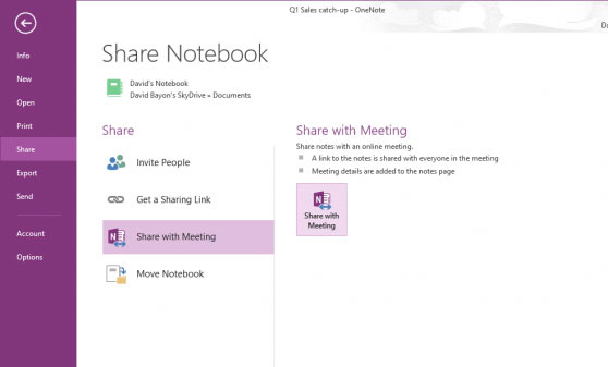 Microsoft OneNote Screenshot