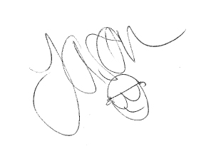 Jason signature
