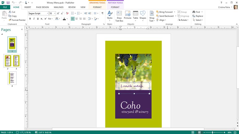 Publisher documents Publisher documents